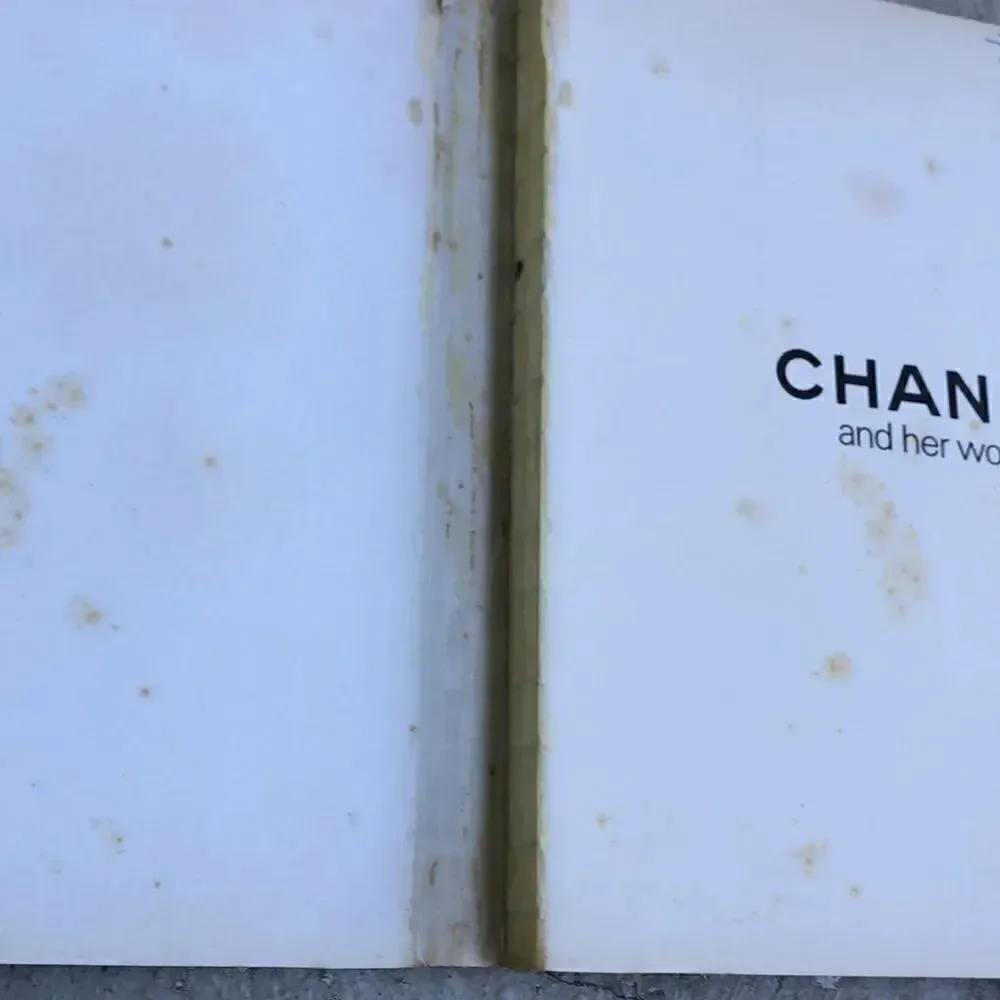 2 Chanel books